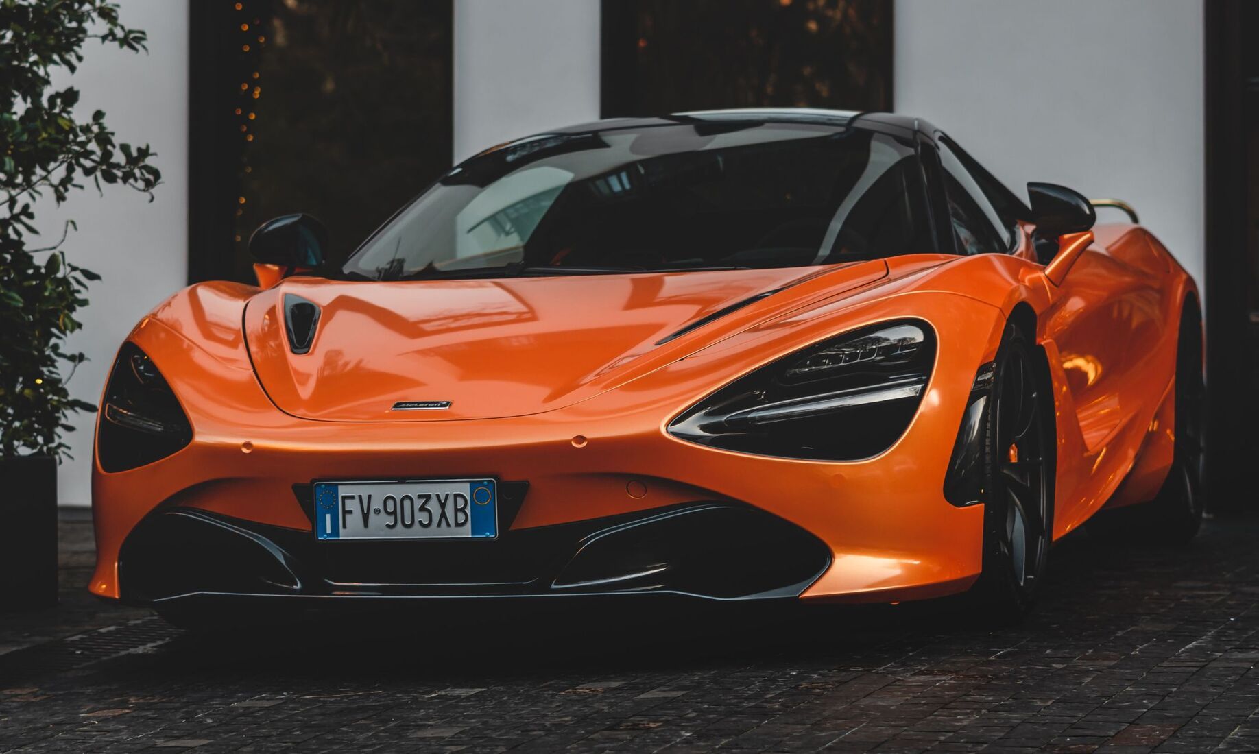 <span>carvar.store</span> 